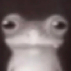 fuck froggy