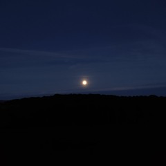 Dawn Chorus Ireland ~ May Flower Moon