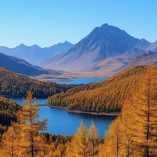 [은사보다 더 중요한 지침]롬12:9-14