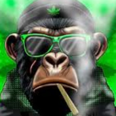 skeleton key (monkey bongo)