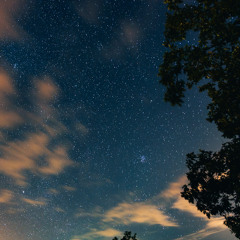 Dream