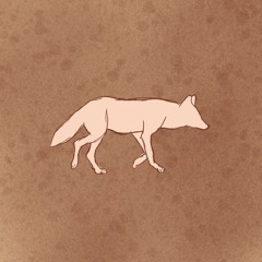 Coyote