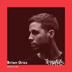 Brian Gros | Teqwave podcast 036