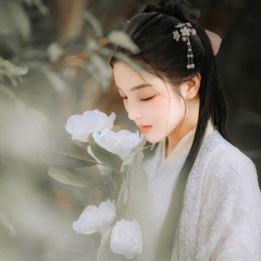Thanh ngọc án.Nguyên Tịch - Winky Thi