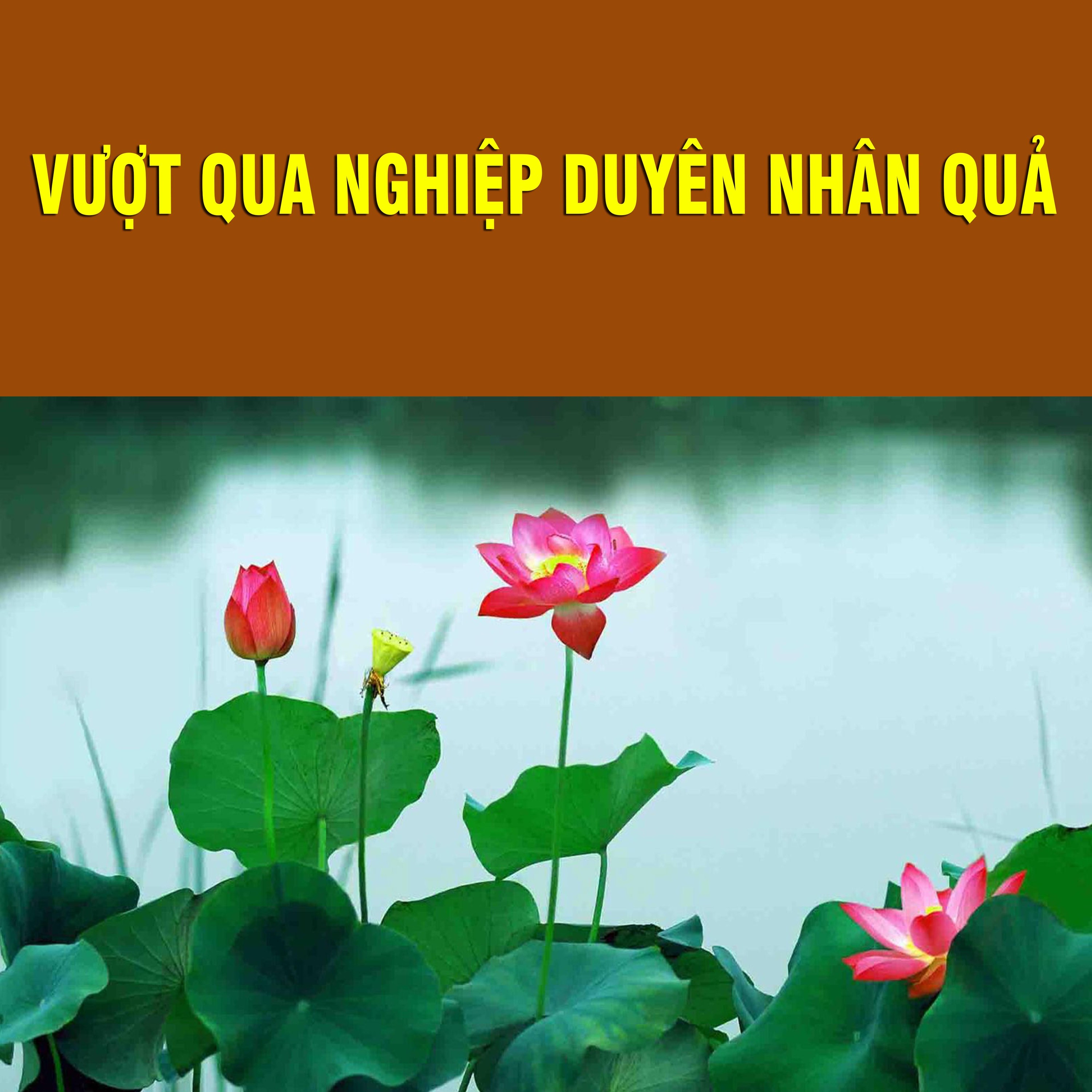 Thích Bảo Nguyên