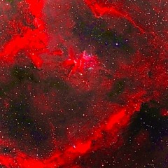 Ecstasy w/Keysho [JLLY]