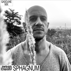 GASOLINE GUEST MIX: SPHAGNUM 22/09/2022