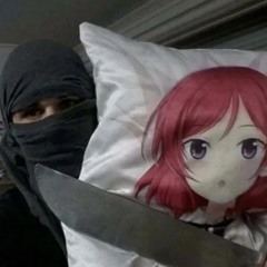 dissdesigner