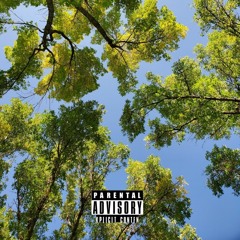 Dizzy Freestyle (feat. hennessey)(prod. 344)