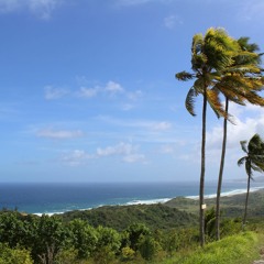 Atlantic Vibes