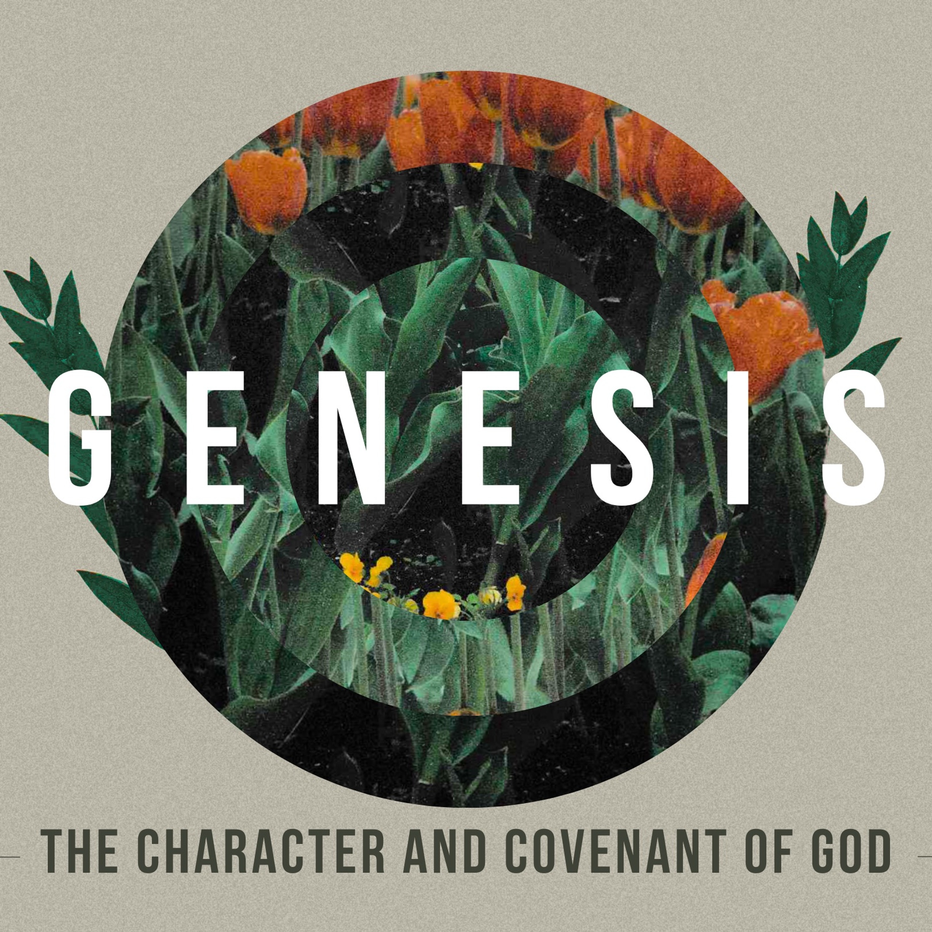 Genesis 2:18-25: Beautifully Designed episode artwork
