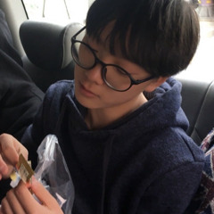 성호 - 나무 (카더가든)ㅣBOYNEXTDOOR 보이넥스트도어 보넥도 Sungho cover