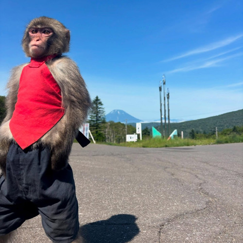 quierounaplacadesonido.mp3