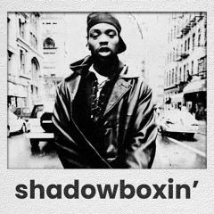 Shadowboxin' [ RZA x Method Man x Wu-Tang Clan Type Beat ]