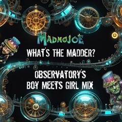 MadmoJoe - What's The Madder? (Observatory's Boy Meets Girl Mix)