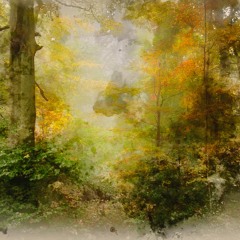 New & hot: Ambient