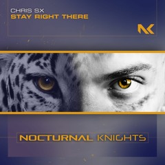 Chris SX - Stay Right There TEASER
