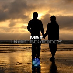 Mr T - I Need Somebody [sample].mp3