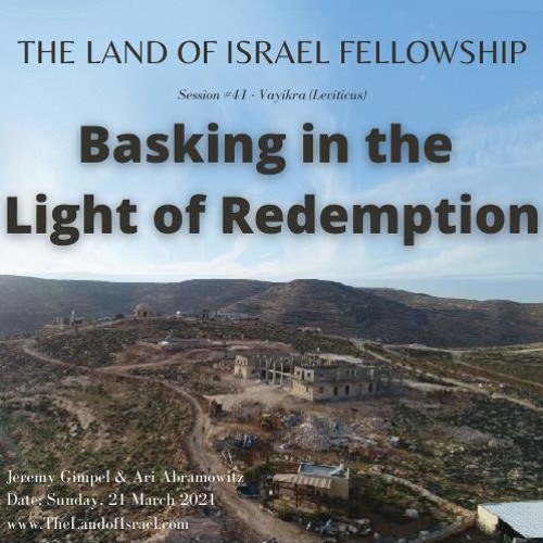 Stream Basking in the Light of Redemption The Land of Israel Fellowship by The Land of Israel