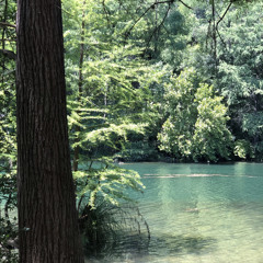 Mountain Goats Woke Up New