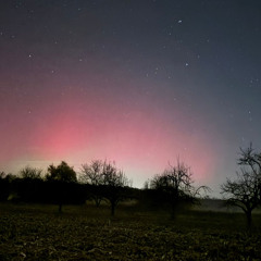 Kalkül (Studio Version)