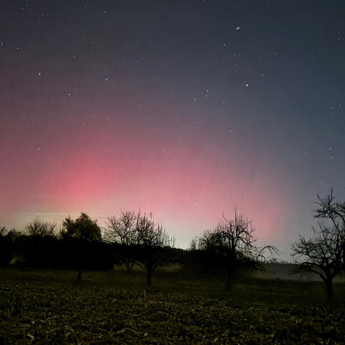 Kalkül (Studio Version)