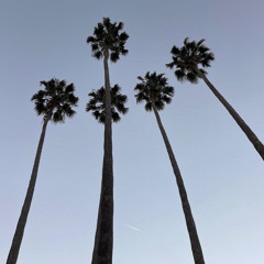 راشد الماجد - اجابة سؤالي