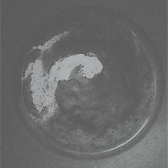 Untitled_03