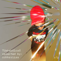 trúnó tapes ✦ Tüskebölcső ✦ selected by cchhrriiss