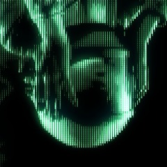 WH0 N0S3