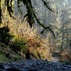 b (live improvisation)