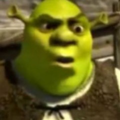 WHAT THE HELL ARE YOU DOING IN MY SWAMP??!!!