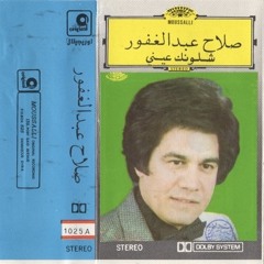 صلاح عبد الغفور