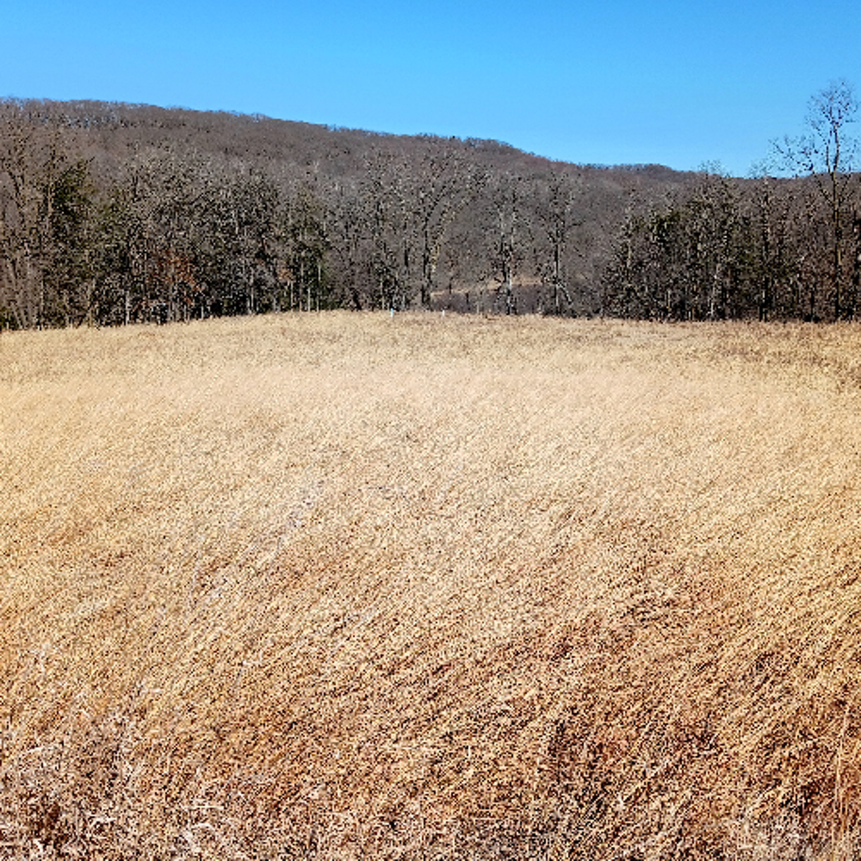 Forecast from Monday, 3-23-26