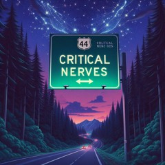 critical nerves