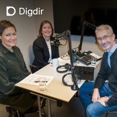 Våre erfaringer med digitale konferanser