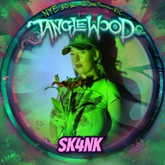Tanglewood Festival 2023 - NYE Funk Tunnel