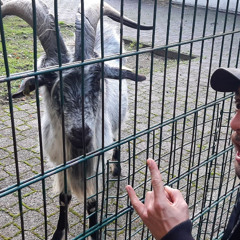 BOOMIN TAPES ... feat Buffet Froid