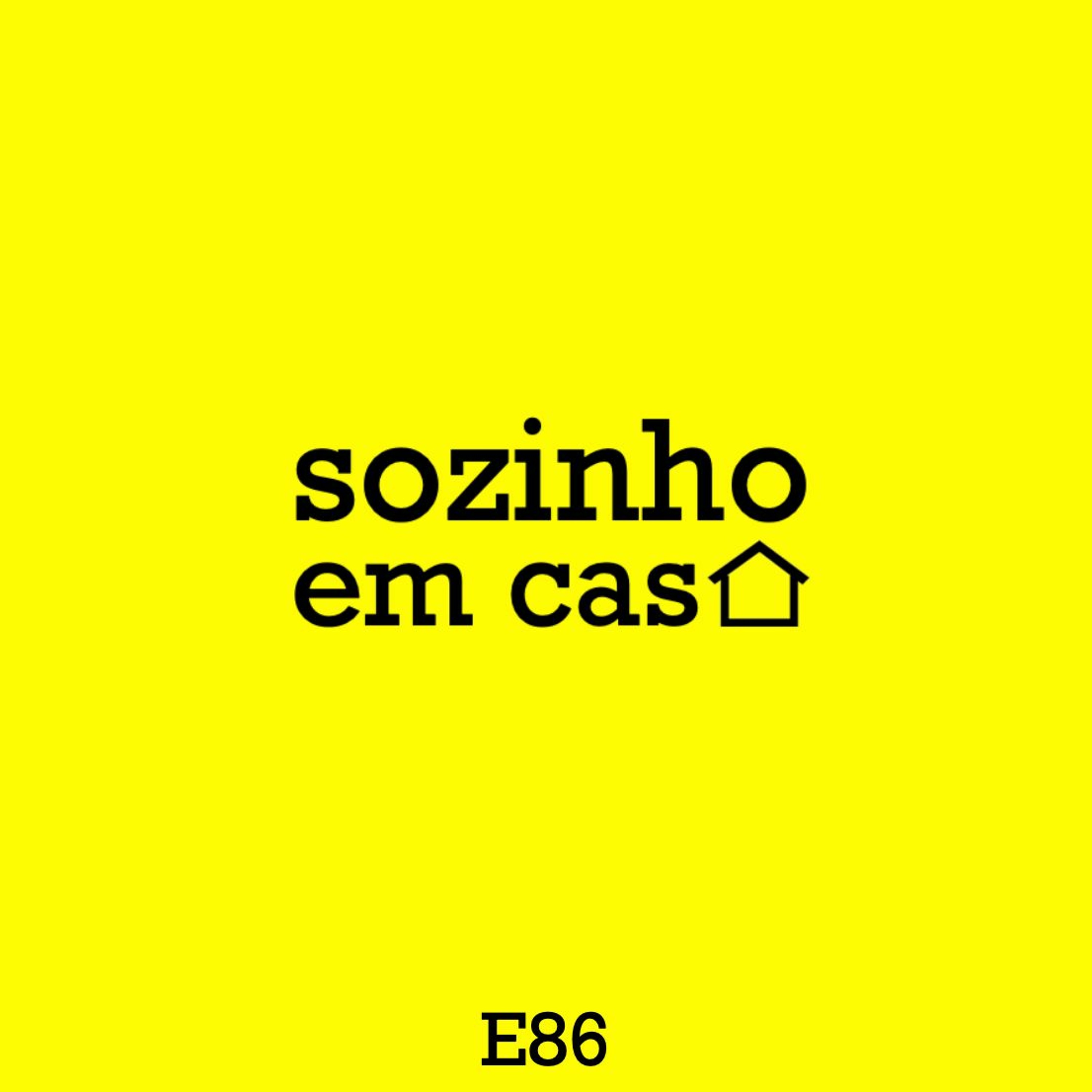 sozinho em casa