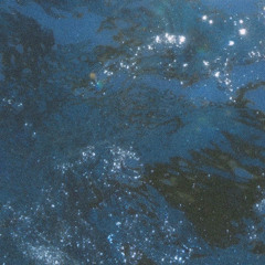 Heaven and Earth Magic w/ Jocelyn Romo 020725