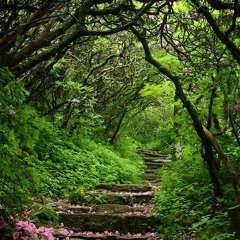 “ZaZa” Feat. HunnMun (Prod. Kobelocks)