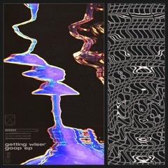 Getting Wiser - Goop