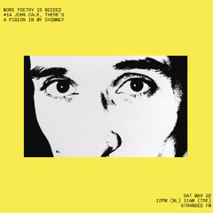 #14 John Cale, There's A Pigeon In My Window