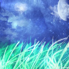 Night Zephyr