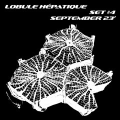 Lobule Hépatique - Set #4