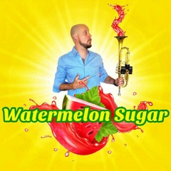Watermelon Sugar - Harry Styles Cover