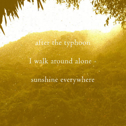 [naviarhaiku598] sunshine everywhere