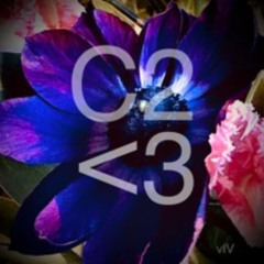 C2<3 vIV
