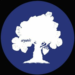 Yamen & Eda - Cosmic Dance [Organic Music]