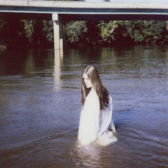 sun bleached flies - cover